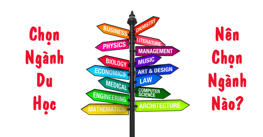 các ngành dễ xin việc khi du học